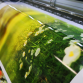 Digitaldruck im Druckraum von P&K Schmiedel