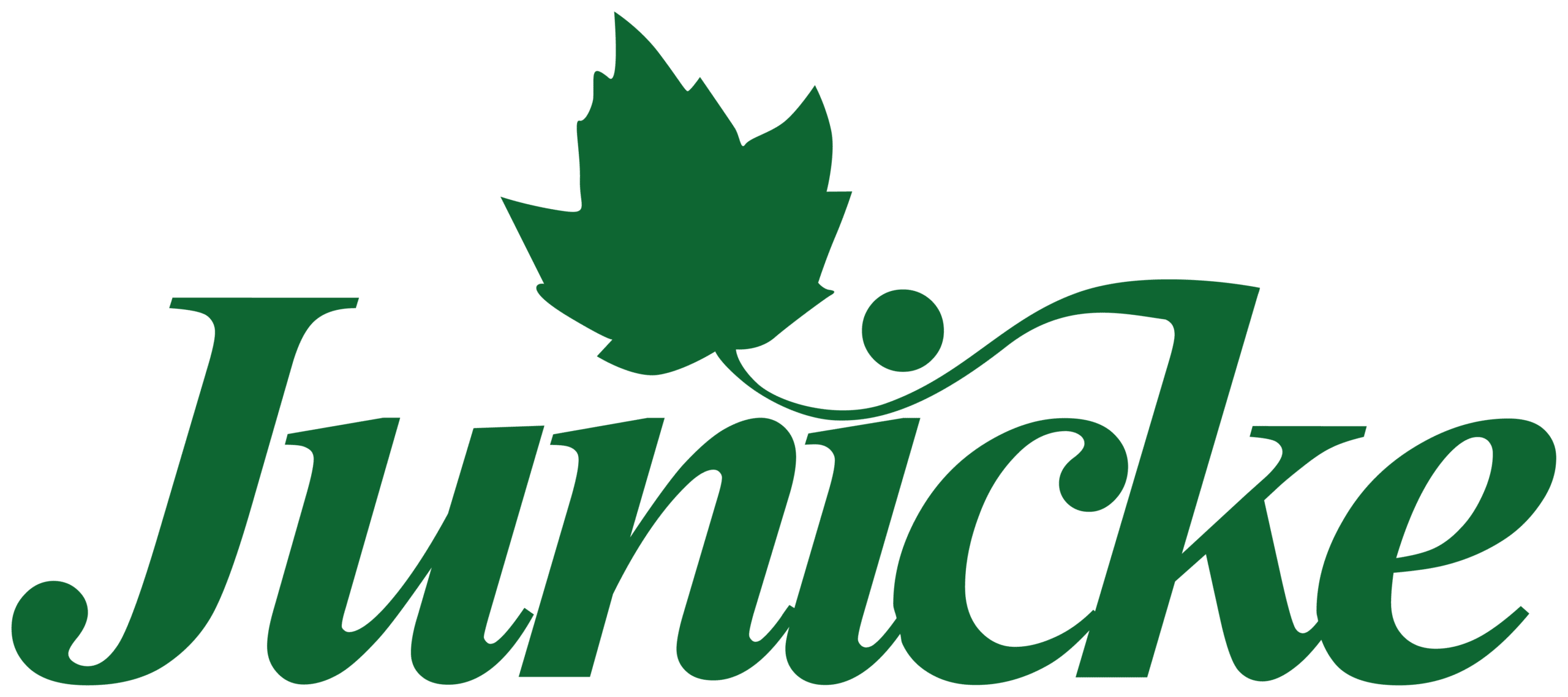 Junicke Kunde von P&K Schmiedel
