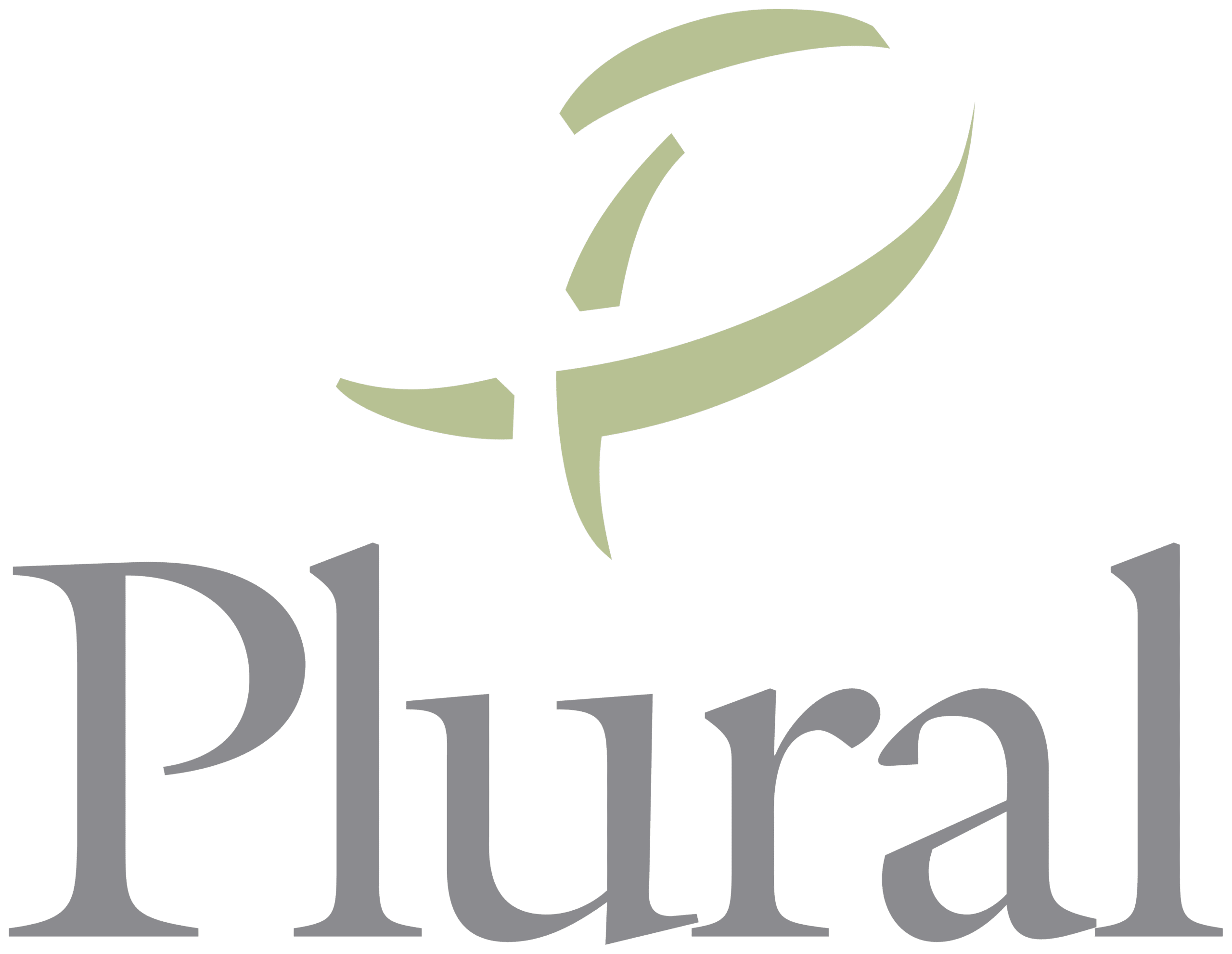 Plural Kunde von P&K Schmiedel
